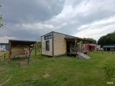 Смородина - 36