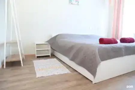 Пионер - 5