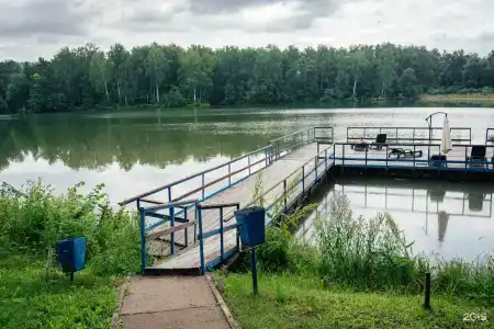 Березки - 8