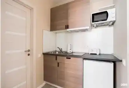 Ренуар студия на Каштановой, 6 - 66