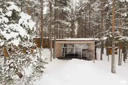 Северное сияние - 101