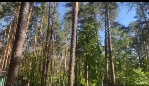 Прибрежный - 55