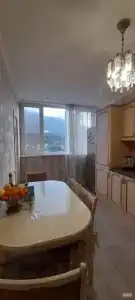 Сантоция - 6
