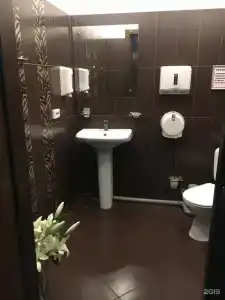 Медведь - 16