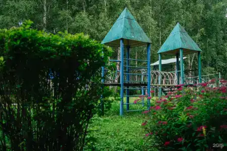Березки - 5