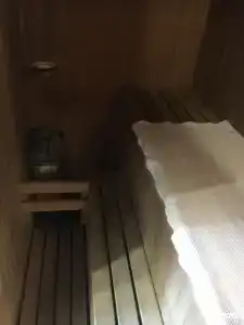 Медведь - 14