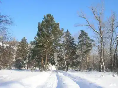 Томь-Усинский - 9