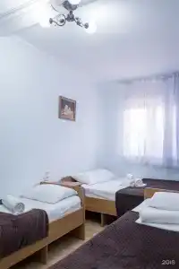 Киви и Цитрус - 110