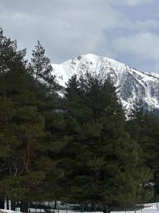 Хвойная долина - 17