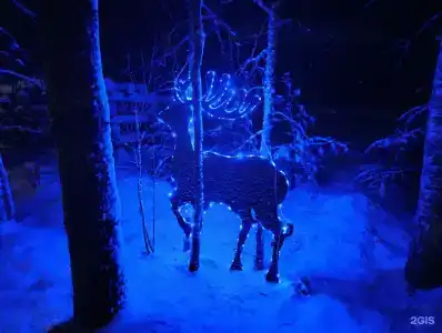 На опушке леса - 16