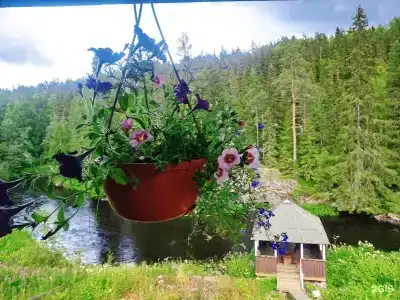 Хекселя - 139