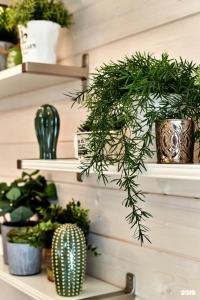 Дом Homely с бассейном и баней - 29