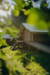 Торополис - 61