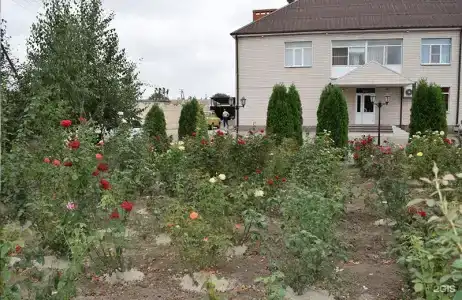 У Палыча - 38
