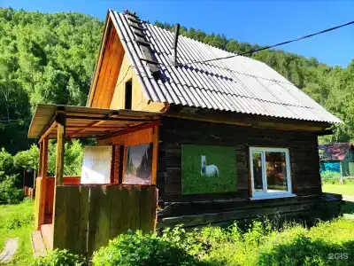 Амаду - 182