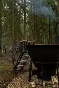 Нешалаши - 145