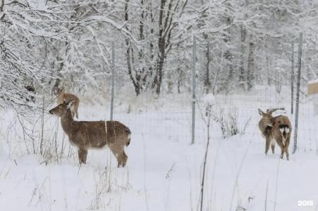 Кроличья нора - 150