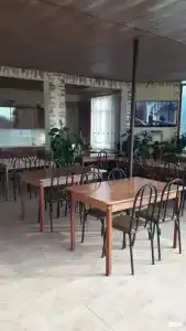 Анис - 6