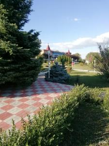 Вишневая поляна - 32