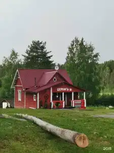 Медвежья Лапа - 95