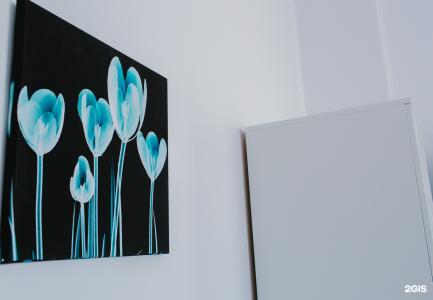 FreeDOM Premium - 135