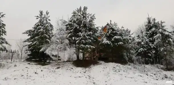 Светлячок - 17