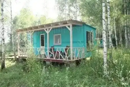 Лесной сон - 87
