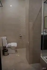 Графъ - 104