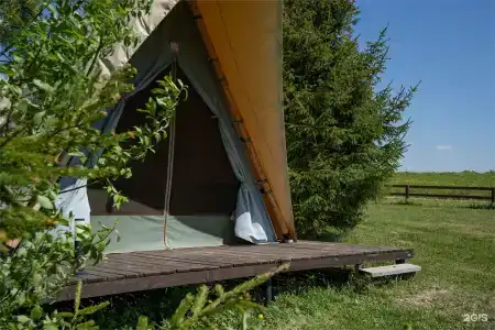 Российские альпаки - 2