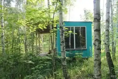 Лесной сон - 69