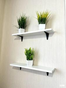 Тундровый 2 - 120