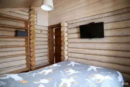 Дикий Гусь - 49