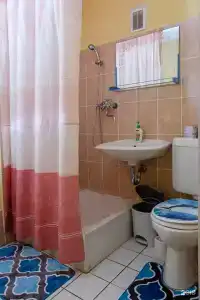 Парма - 41