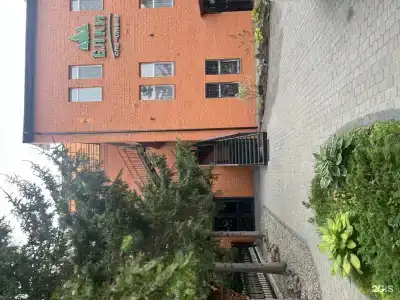 Елки - 102