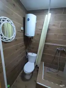 Эвкалипт - 56