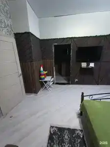 Эвкалипт - 54