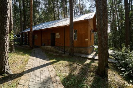 Салют - 250