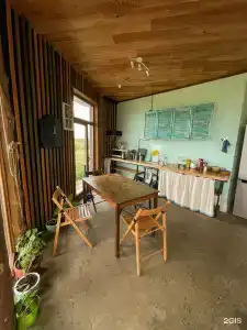 Солнечный свет - 477