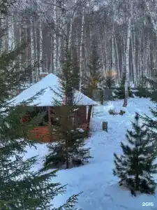Премиум коттедж в лесу с панорамной террасой - 6