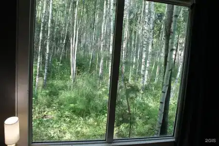 Лесной сон - 123
