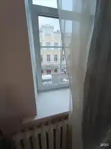 Эвкалипт - 44