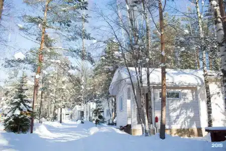 Орех - 12