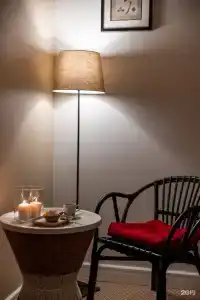 Снегирь - 161