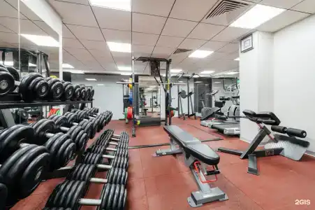 Платонов - 55