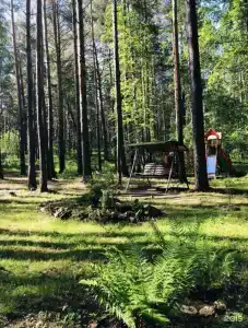 Мечта - 21