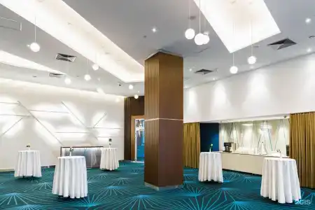 Radisson Blu - 85