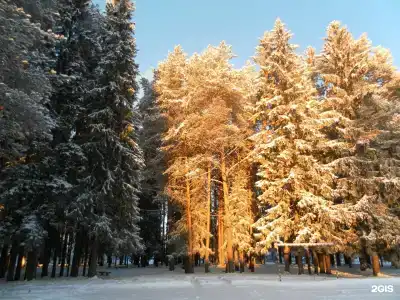 Солониха - 4