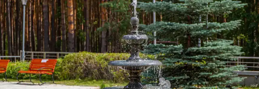 Иволга - 11