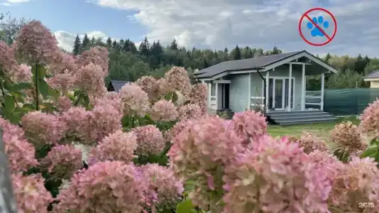 Караван - 106