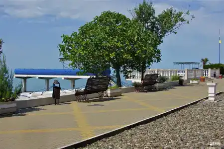 Эдем - 43
